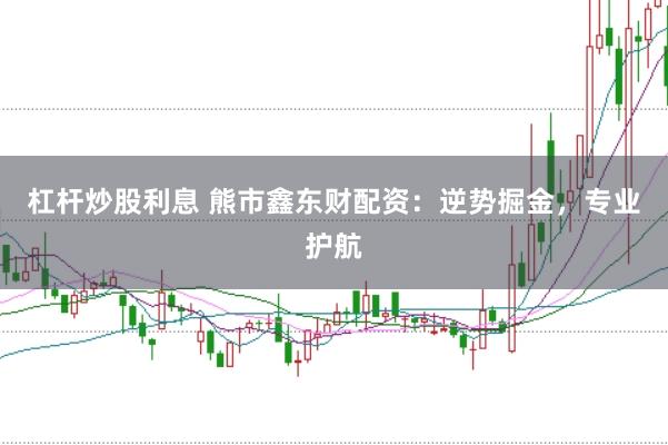 杠杆炒股利息 熊市鑫东财配资：逆势掘金，专业护航