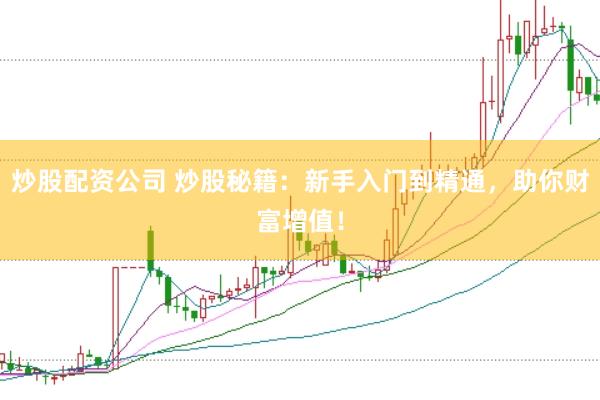 炒股配资公司 炒股秘籍：新手入门到精通，助你财富增值！