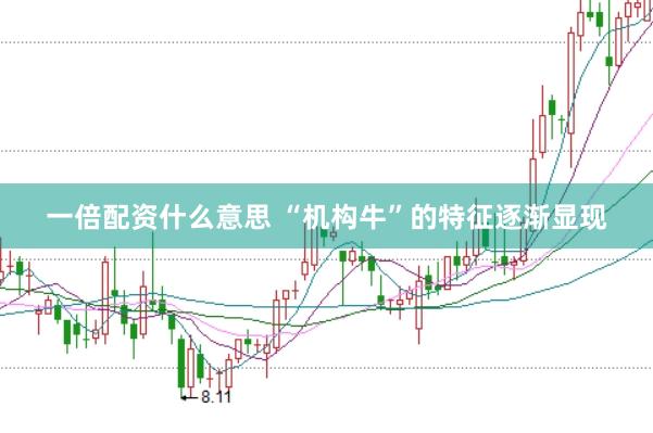 一倍配资什么意思 “机构牛”的特征逐渐显现