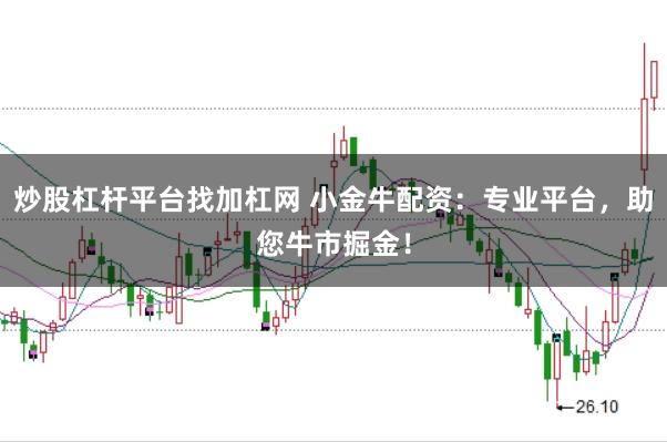 炒股杠杆平台找加杠网 小金牛配资：专业平台，助您牛市掘金！