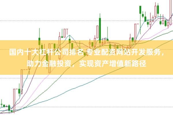 国内十大杠杆公司排名 专业配资网站开发服务，助力金融投资，实现资产增值新路径