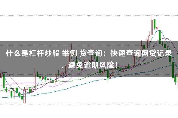 什么是杠杆炒股 举例 贷查询：快速查询网贷记录，避免逾期风险！