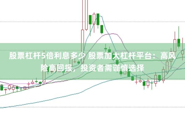 股票杠杆5倍利息多少 股票加大杠杆平台：高风险高回报，投资者需谨慎选择