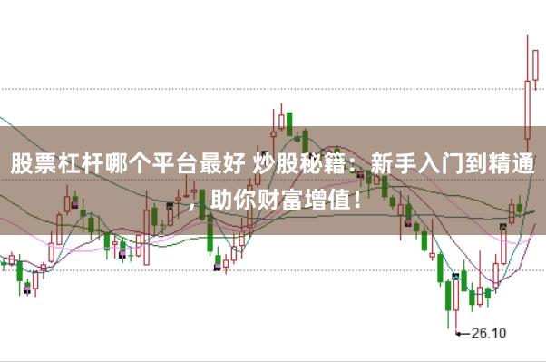 股票杠杆哪个平台最好 炒股秘籍：新手入门到精通，助你财富增值！
