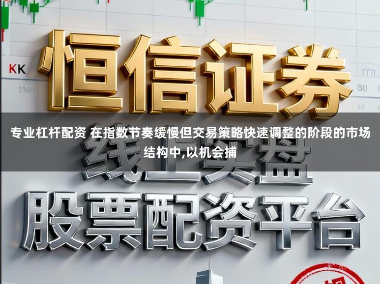 专业杠杆配资 在指数节奏缓慢但交易策略快速调整的阶段的市场结构中,以机会捕